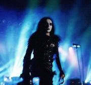 cradlelive1.jpg