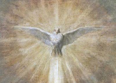 holy dove (1).jpg