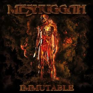 meshuggah immutable.jpg