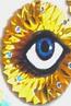 judicanti eye.jpeg