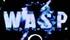 wasp drumhead.jpeg