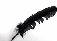 black%20feather.jpg