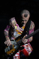 flea.jpg